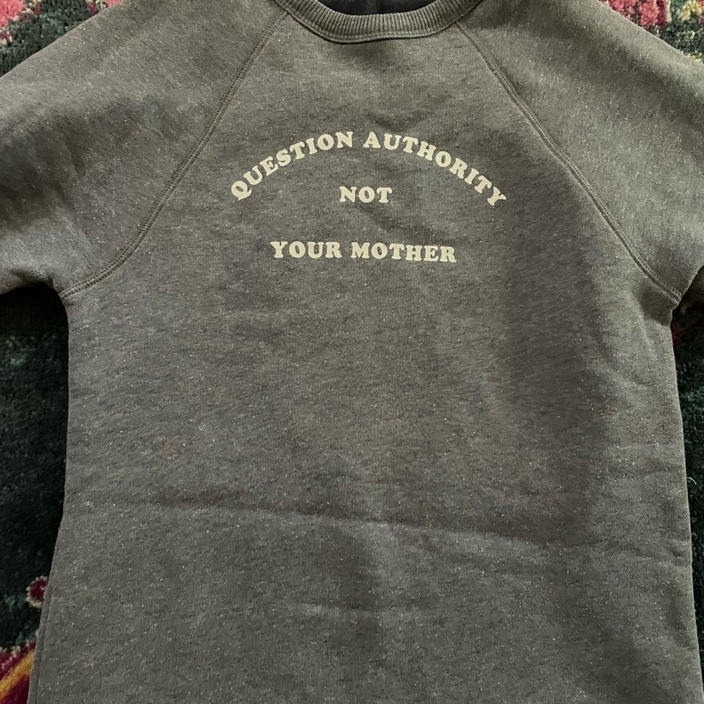 The bee and the fox cozy sweatshirt. Question authority not your mother.